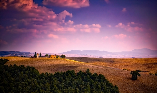 Landscape nature forest horizon Photo