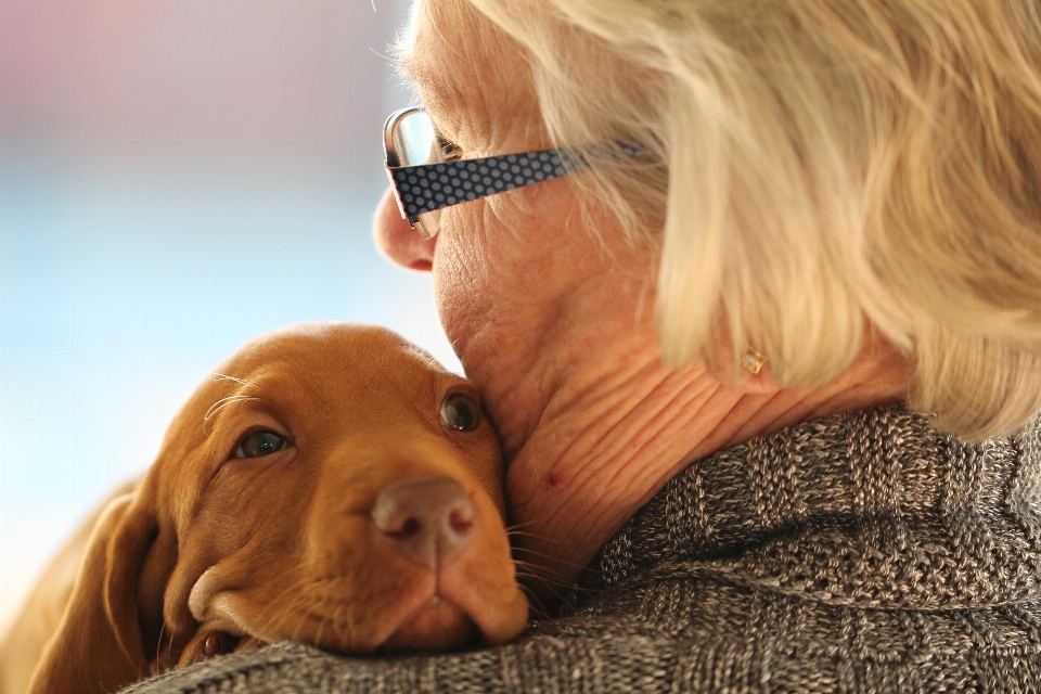 女性 年 子犬 犬