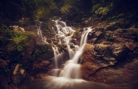 Landscape water nature forest Photo