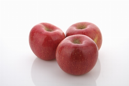 Apple plant fruit food Photo