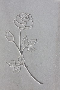 Rose material circle sketch Photo