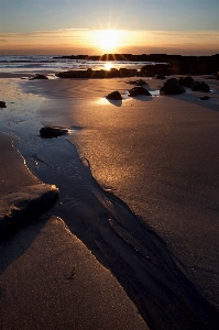 ビーチ 海 海岸 水 写真