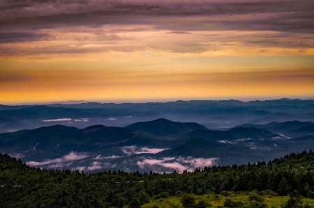 Landscape nature forest horizon Photo