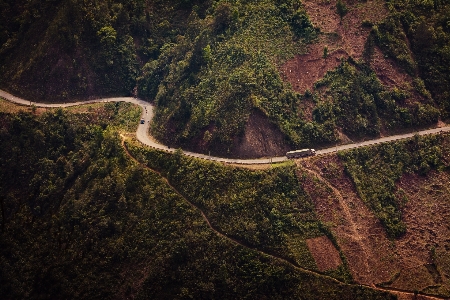 Landscape nature forest mountain Photo