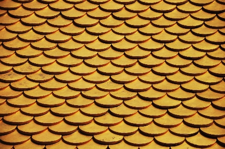 Floor roof pattern line Photo