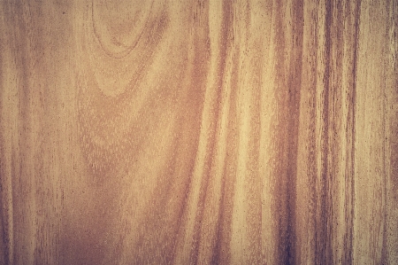 Nature abstract board wood Photo