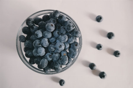 Plant white fruit berry Photo