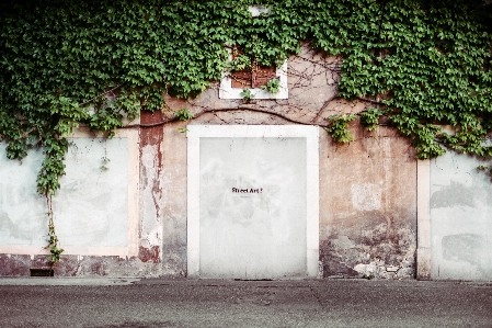 Foto Rua casa calçada
 lar