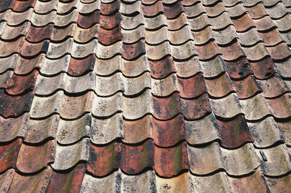 Wood texture roof trunk