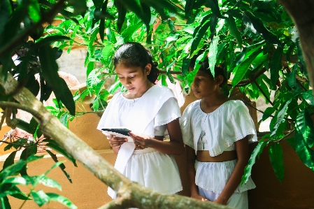 People plant flower reading Photo