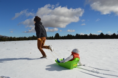 Forest outdoor person snow Photo