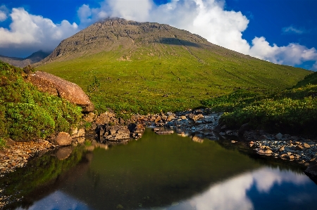 Landscape tree water nature Photo