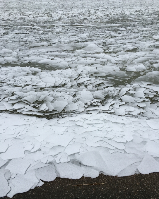 景观 海 海岸 水