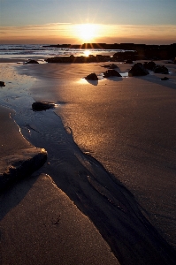 Beach sea coast water Photo