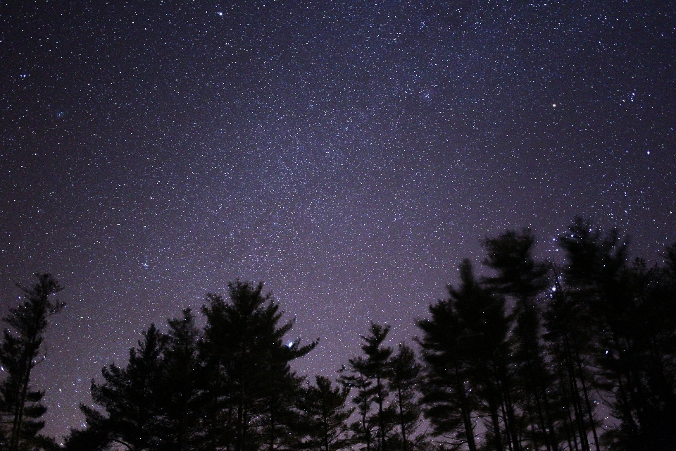 自然 シルエット 空 夜