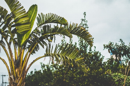 Baum natur draussen zweig Foto