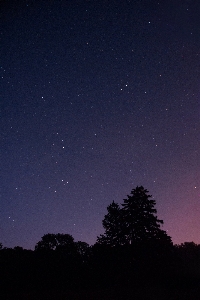 Nature silhouette sky night Photo