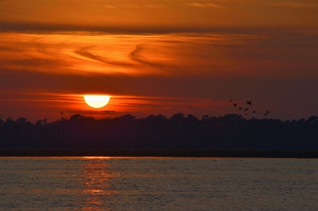 ビーチ 海 海岸 水 写真