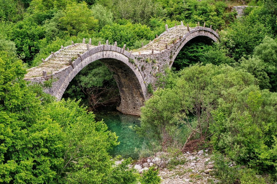 Manzara ağaç su doğa