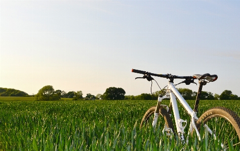 Landscape grass sky field Photo