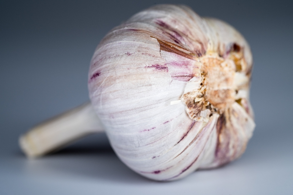 Plant flower petal food