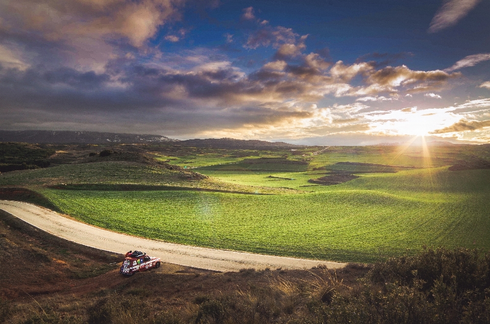 Paisagem natureza grama horizonte