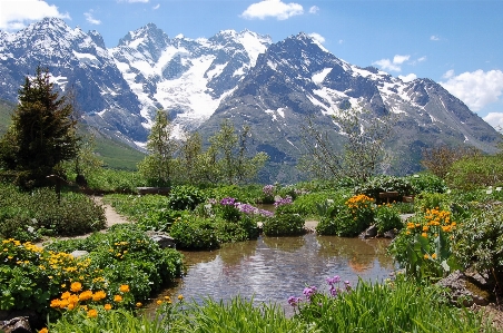 Foto Paisagem região selvagem
 montanha prado
