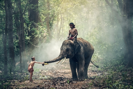 Nature forest people countryside Photo