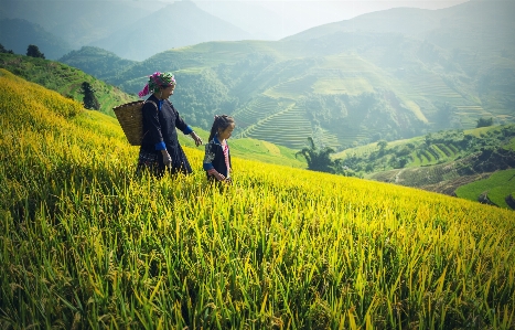 Landscape nature grass mountain Photo