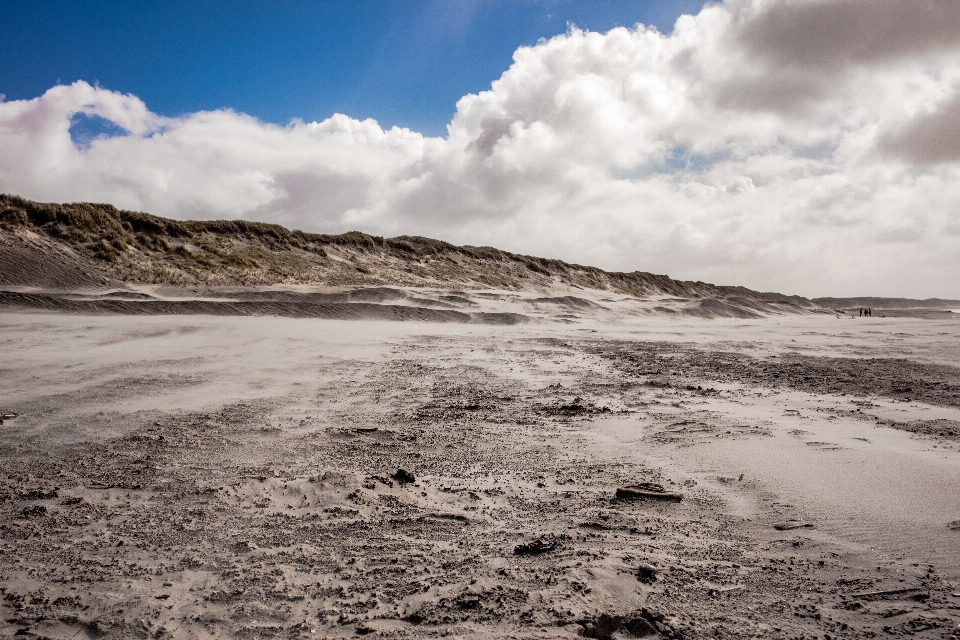 Beach landscape sea coast