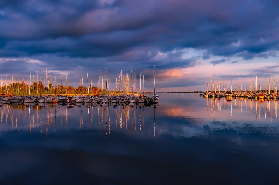 Meer wasser natur wald