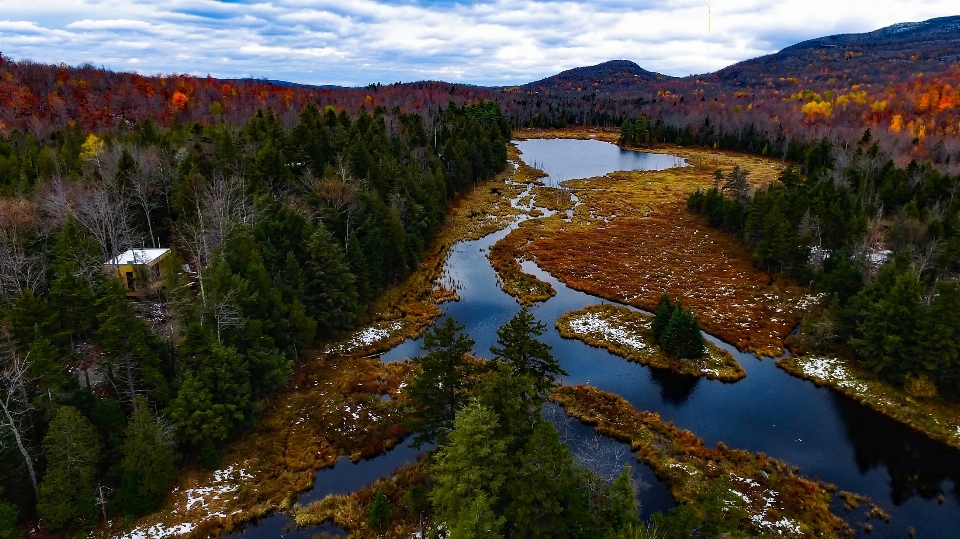 Krajobraz drzewo natura las