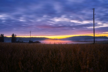 Landscape nature forest horizon Photo