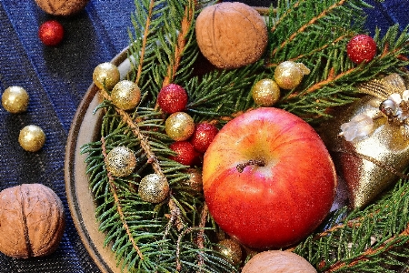 Foto Apple pohon cabang tanaman