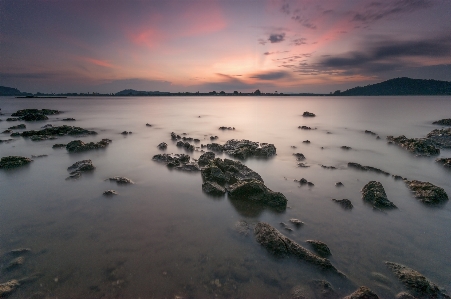 Beach sea coast water Photo