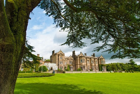 Tree grass lawn mansion Photo