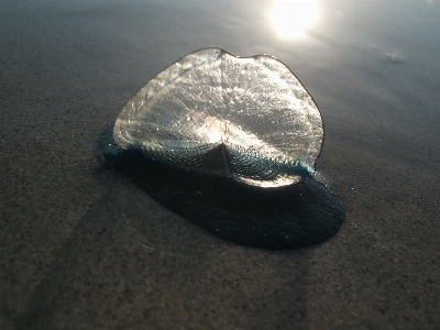 Beach sea rock sun Photo