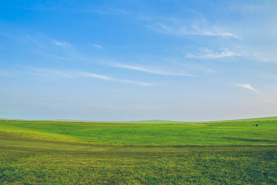 Paisaje naturaleza césped horizonte