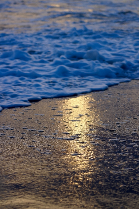 Beach landscape sea coast