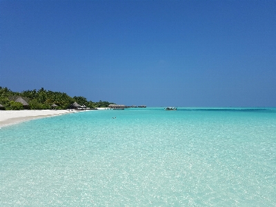 ビーチ 海 海岸 海洋 写真