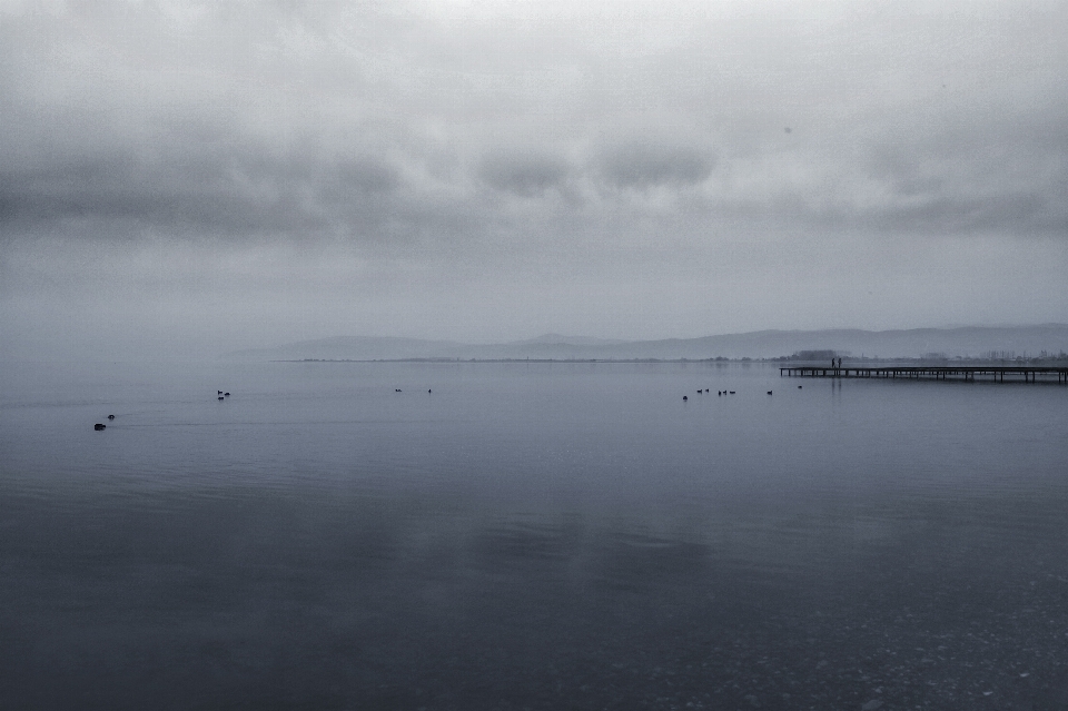 Morze wybrzeże woda ocean