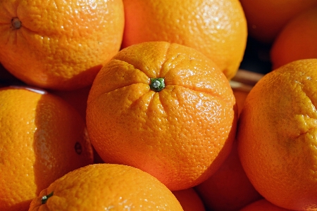 Plant fruit sweet orange Photo