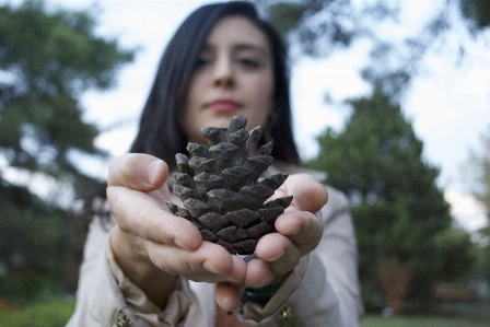 Foto Persona planta mujer cabello