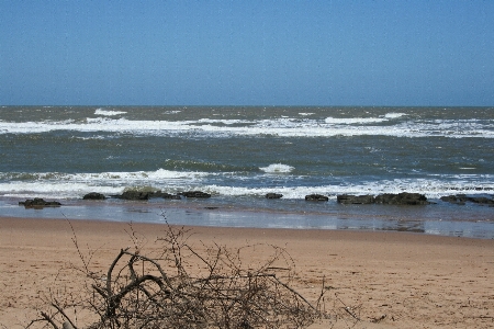 Beach sea coast water Photo