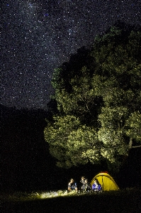 木 自然 山 ライト 写真