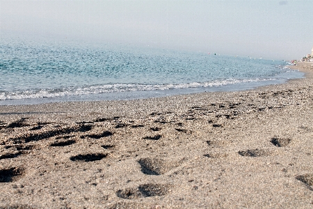 Beach sea coast sand Photo