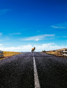 Landschaft meer küste natur Foto