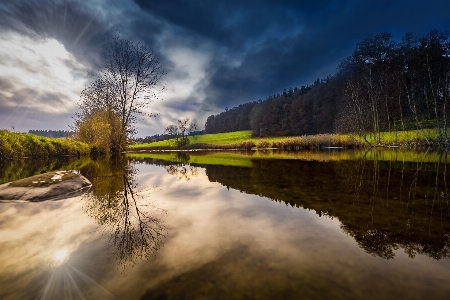 Landscape tree water nature Photo