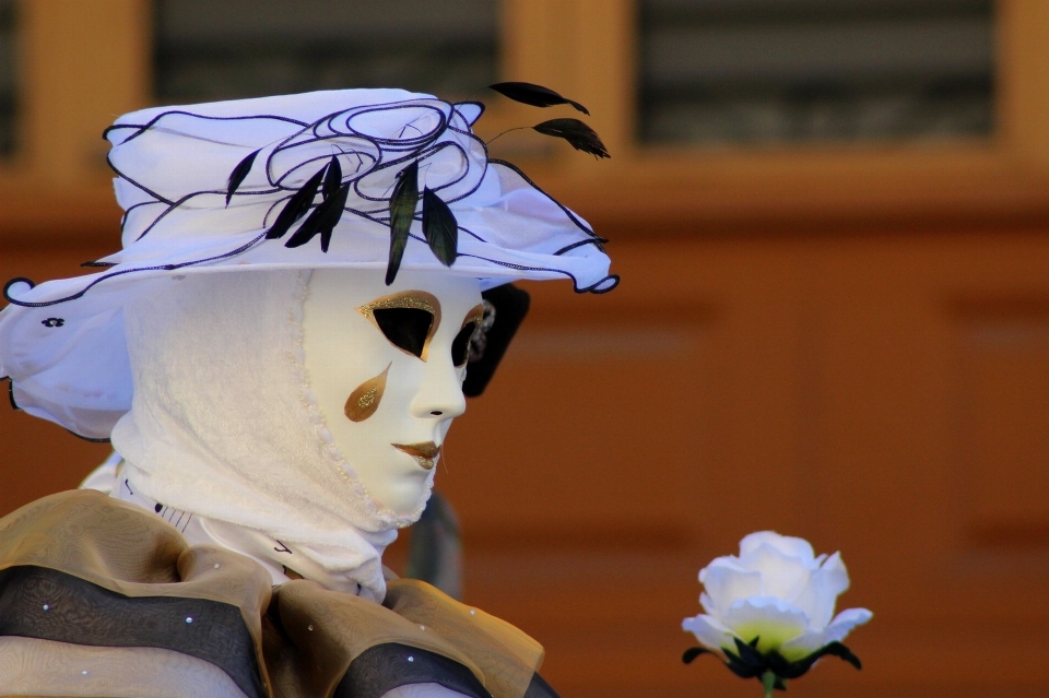 Fiore primavera carnevale venezia