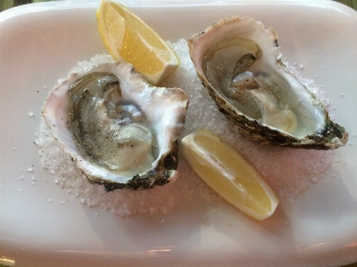 Restaurant dish food oyster Photo